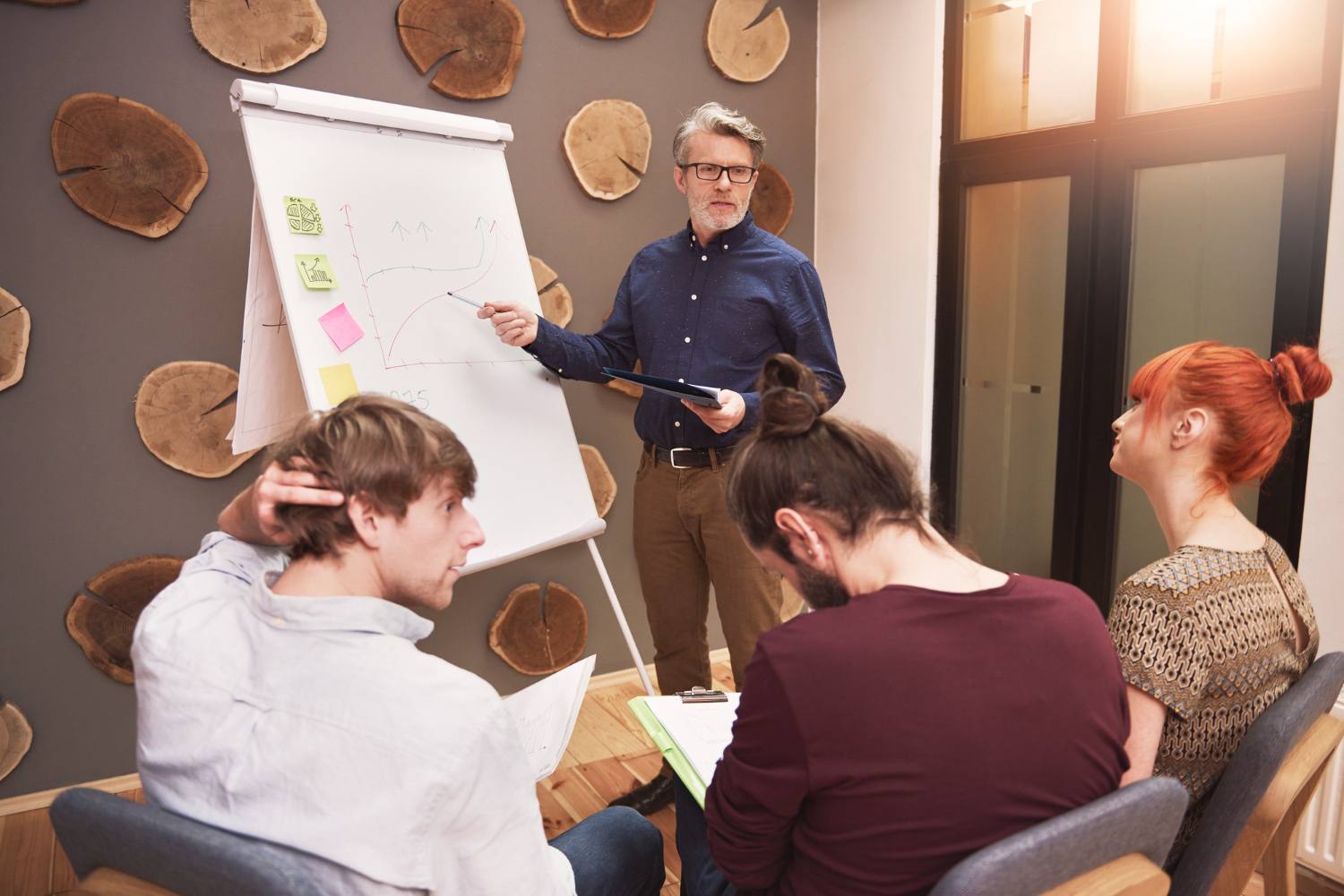 Development of audit skills from  Frentixusyf 